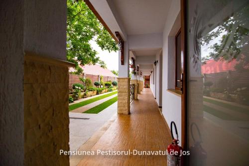 Pensiunea Pestisorul in 多瑙瓦圖爾德喬斯