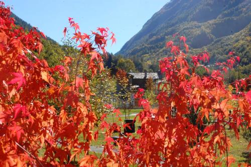 Case Gran Paradiso Rhemes Saint Georges - image 4