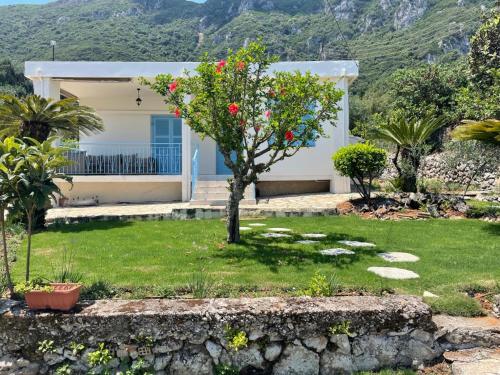 VILLA CARA gîte à louer Kornáta