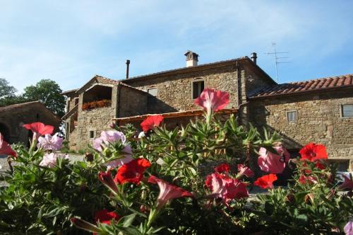 Locanda Del Viandante B&B - Accommodation - Anghiari