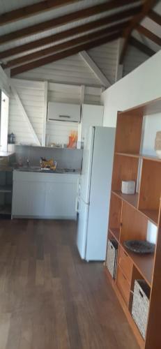 Avocatier in Mare Gaillard