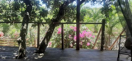 Avocatier in Mare Gaillard