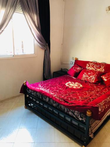House volibulis renting