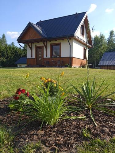 B&B Narewka - Siedlisko Czarny Dzięcioł - Bed and Breakfast Narewka