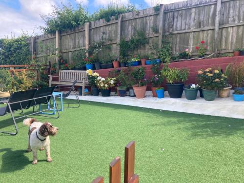 Modern studio apartment with outstanding views, sleeps 2