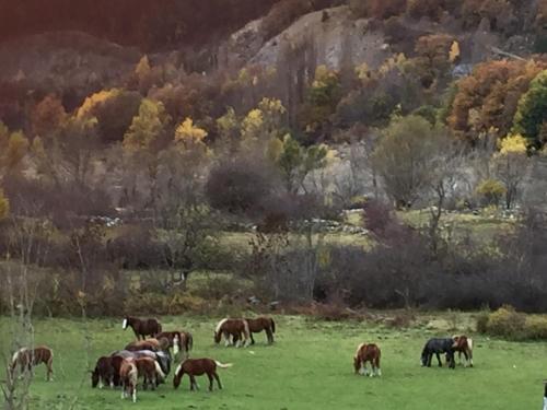  Vista Telera in El Pueyo de Jaca