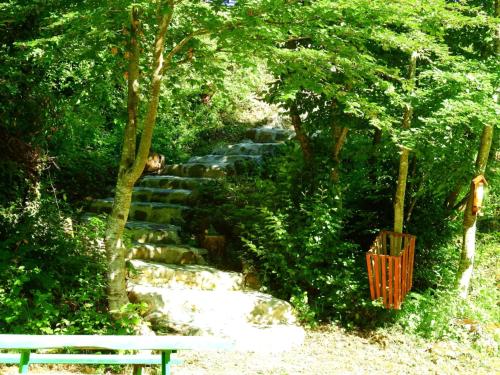 Paradise On Tara - image 10
