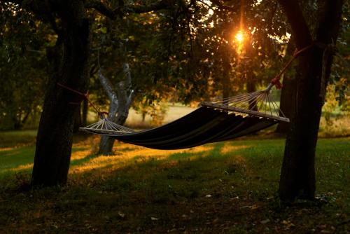 Apkārtne, Pilwa 17 - Glamping na Mazurach in Sztynort