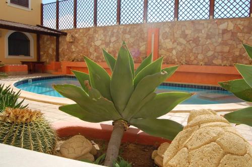 El Mosaico Del Sol - image 11