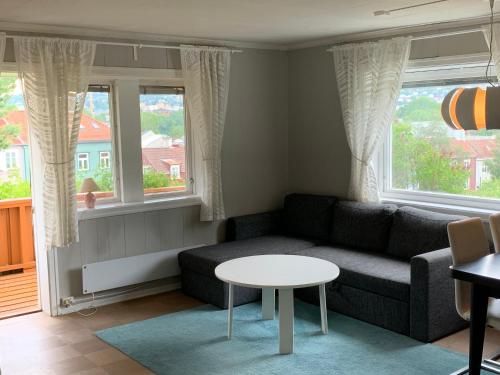 3 room apartment incl balcony, WiFi, TV, garden- and parking access - Apartment - Trondheim