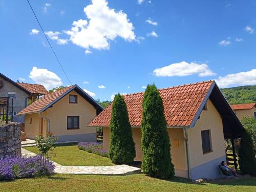 Garden 022, Vrdnik