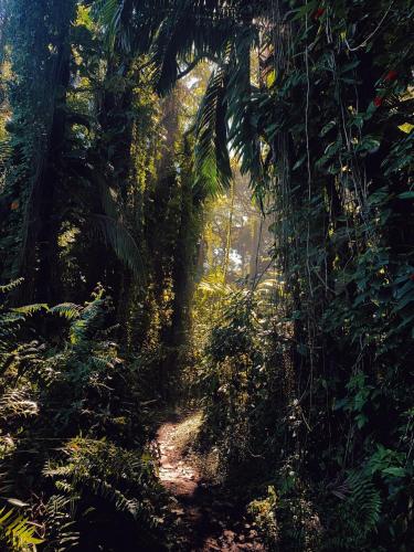 Honomu Inn