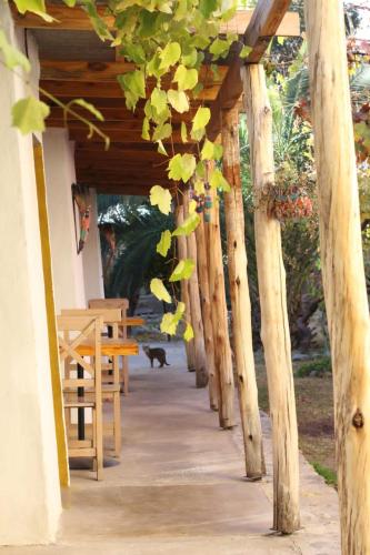 卡法亚特-托隆博翁 Cielito Lindo 3星级 酒店 泳池