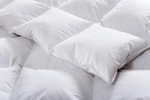 Hotel Adrett am Dom - Digital Access – Cologne, IA