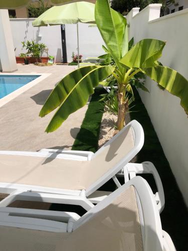 Diklo beach rooms - image 6
