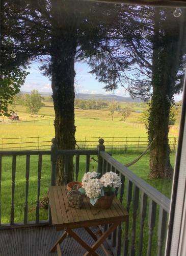 Dobbin the horse box in The Lake District