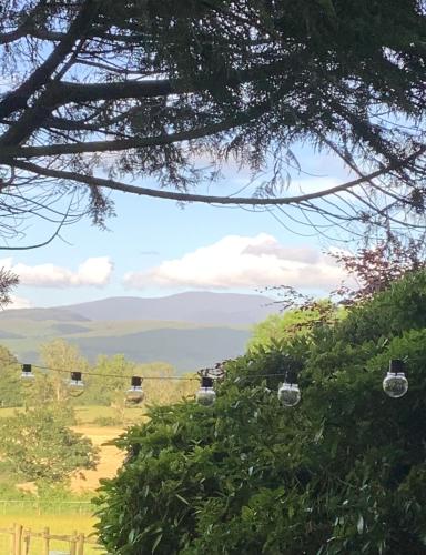 Dobbin the horse box in The Lake District