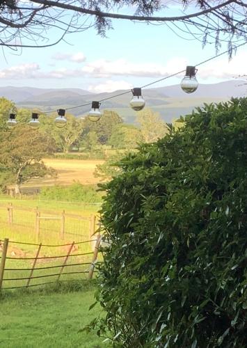 Dobbin the horse box in The Lake District