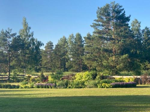 Sodas, LUČI jūras apartamenti 2 (LUCI juras apartamenti 2) in Ruoja