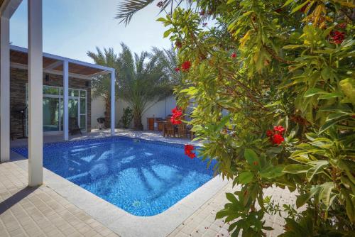 Dar 66 Pool Chalets with Jacuzzi