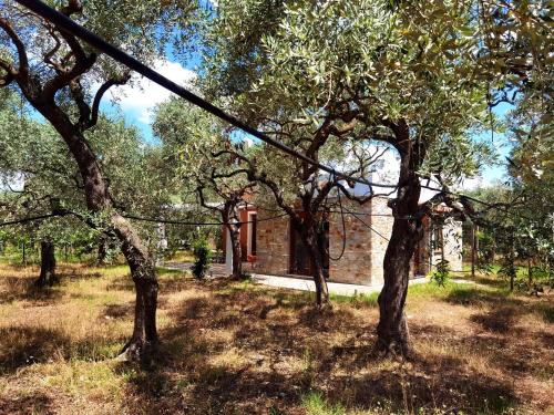 Elea Stone Houses in organic quiet olive grove, Prinos, Thassos