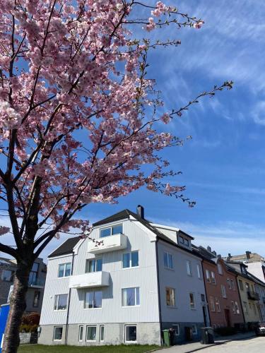 Takvåning på Strandpromenaden med havsutsikt - Apartment - Kristiansand