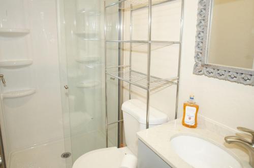 Big Bear 4 Seasons Two - image 14