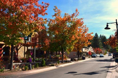 Big Bear 4 Seasons Two - image 10