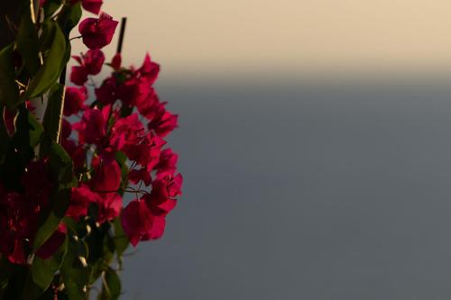 VILLA CARPE DIEM: sea & sunset view in Kea island