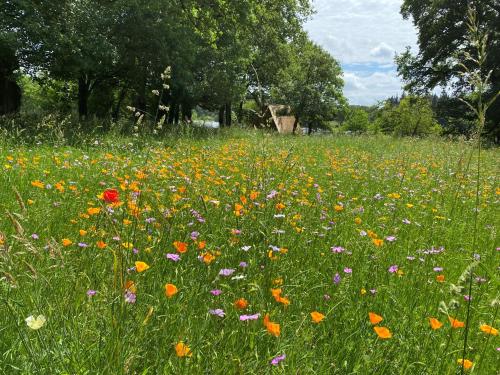 Le Domaine de la Briandais, expérience de sobriété électromagnétique