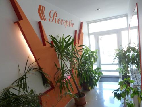 Hành lang, Pensiunea Old Sheriff in Bistrita