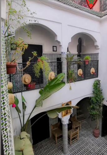 Riad Sijane - image 2