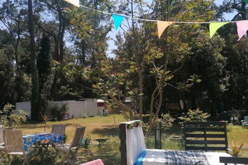 Maison bohème en pleine forêt// Dolly Waikiki gîte à louer Rivedoux-Plage
