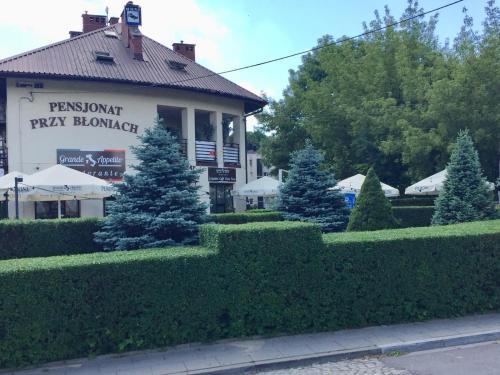 Pensjonat Przy Błoniach - image 8