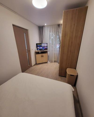 One-Bedroom Apartment image 6