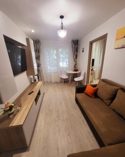 One-Bedroom Apartment image 5