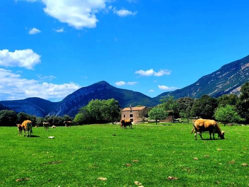 Casa en paraje natural único Hasta 25 personas - Girona