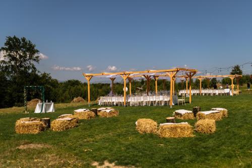 Dārzs, Cabana de lemn Runcu Stone in Costeşti (Dâmbovița)
