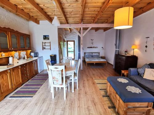кухня, Jagodowy Sad - apartament z dwoma ogródkami (Jagodowy Sad - apartament z dwoma ogrodkami) in Видміни