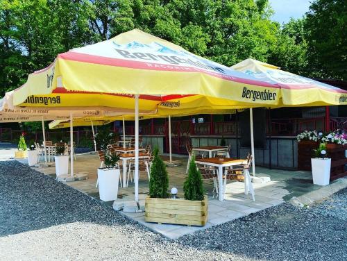 Guest House Zoreni