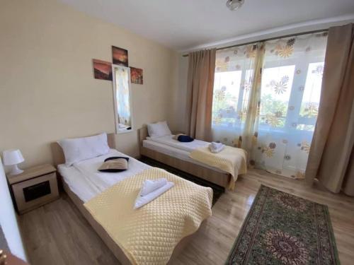 Guest House Zoreni