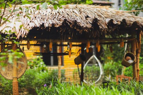 Golden Jungle House