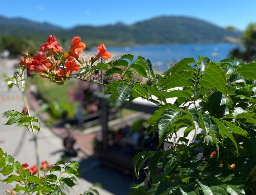 Regina e Oriente - La casa del Moro - Apartment - Baveno