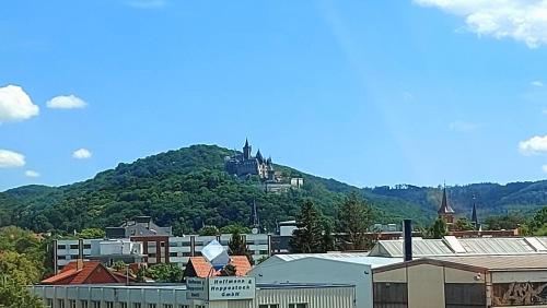 Rummy's Ferienwohnung mit Garten in Wernigerode, Deutschland