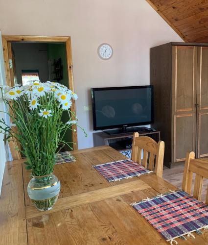 Excelsior Guesthouse - image 7
