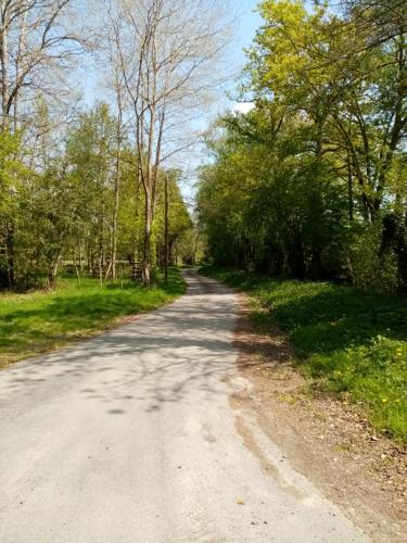 Entre forêts et prairies