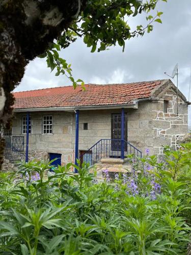 CASA DE CAMPO BENFEITO - Campo Benfeito