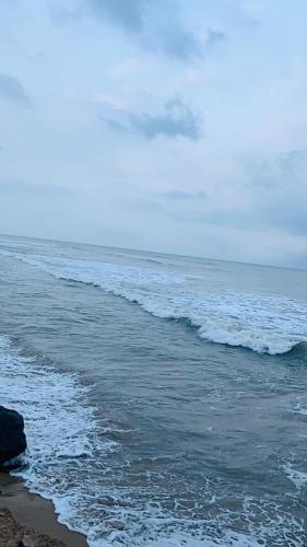 Catch A Wave photo