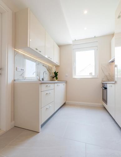 One-Bedroom Apartment image 10