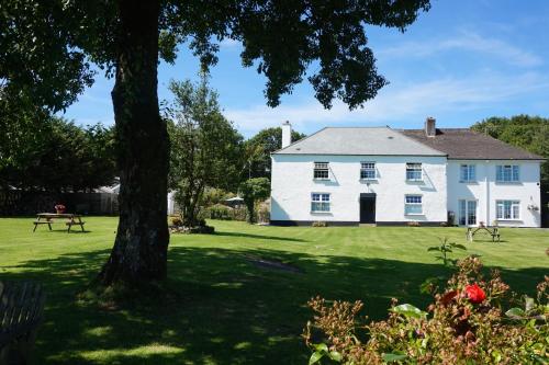 Leworthy Farmhouse Bed and Breakfast - Accommodation - Holsworthy
